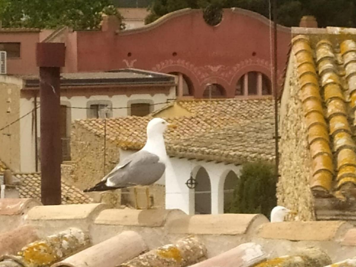 Apartaments L'Arc Palafrugell Bagian luar foto
