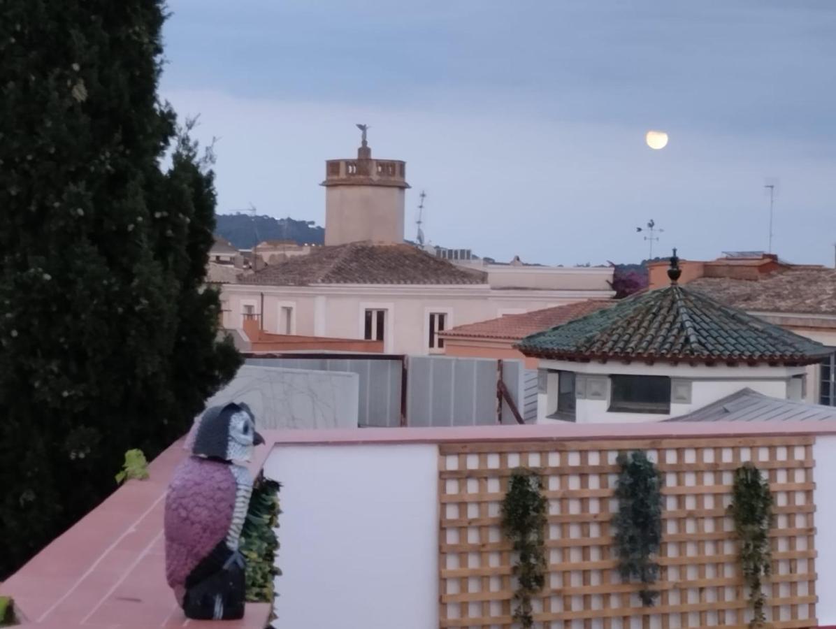 Apartaments L'Arc Palafrugell Bagian luar foto